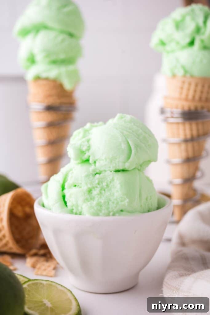 Homemade Baskin Robbins Daiquiri Ice 13 Large bowl of Baskin Robbins Daiquiri Ice with a scoop