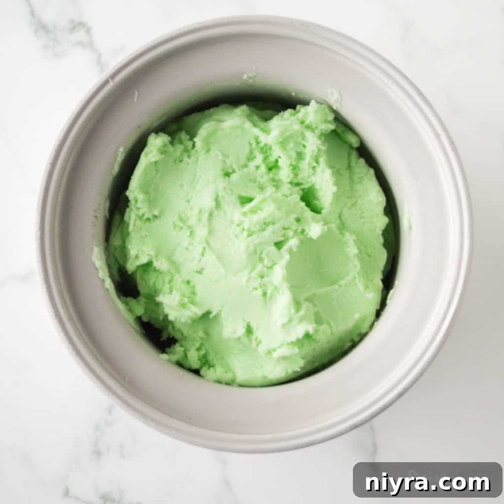 Homemade Baskin Robbins Daiquiri Ice 8 Chilled Daiquiri Ice mixture ready for churning