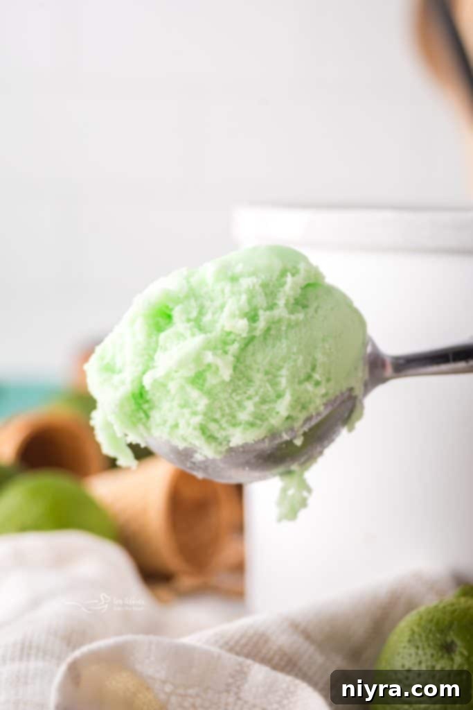 Homemade Baskin Robbins Daiquiri Ice 9 Freshly churned Daiquiri Ice in an ice cream maker