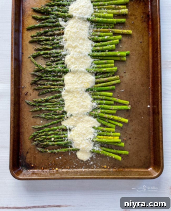 Top view of asparagus on baking sheet with cheese sauce