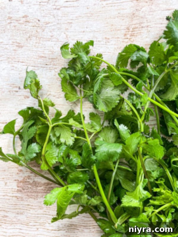 Close-up, top-down view of fresh, vibrant green cilantro leaves, ready to be snipped and added to the dish.