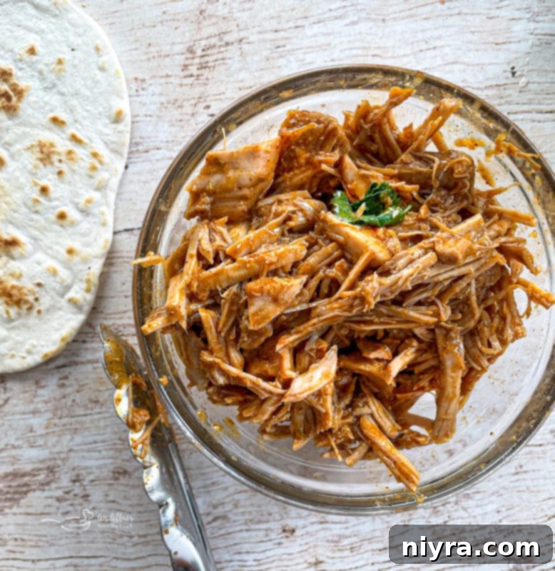 A delicious bowl of cilantro lime pork served alongside a warm tortilla, inviting you to dig in.