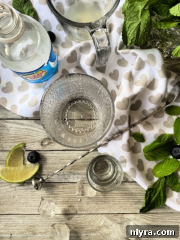 Ingredients for Blueberry Mojito