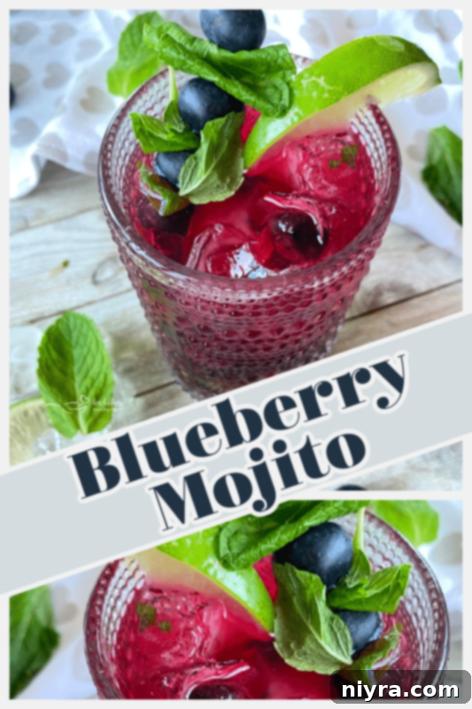 Blueberry Mojito