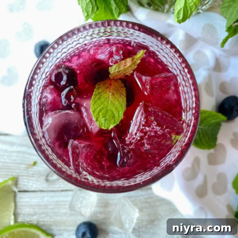 Blueberry Mojito