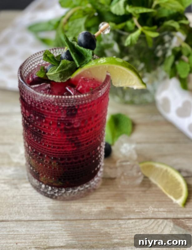 Blueberry Mojito Recipe