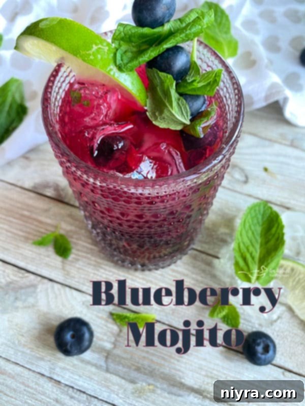 Blueberry Mojito served in a glass