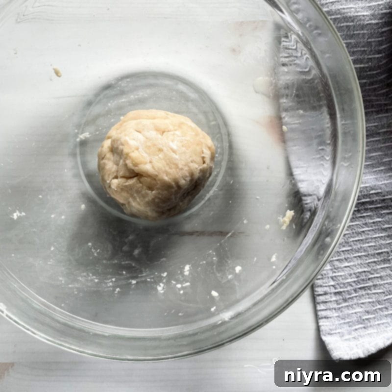 Hands using a pastry blender to cut shortening into flour and salt mixture in a bowl.