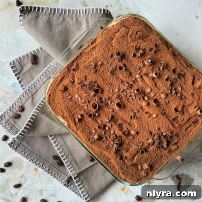 Tiramisu dusted with cocoa powder