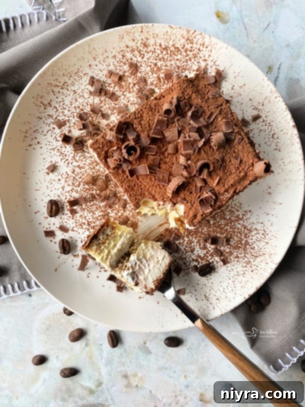 Tiramisu with chocolate curls on top
