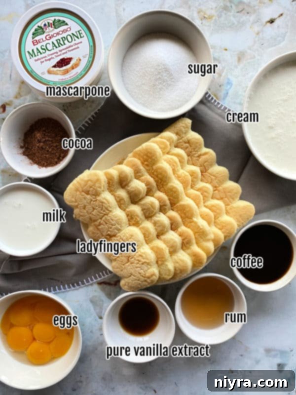 A slice of Tiramisu on a plate, showing layers