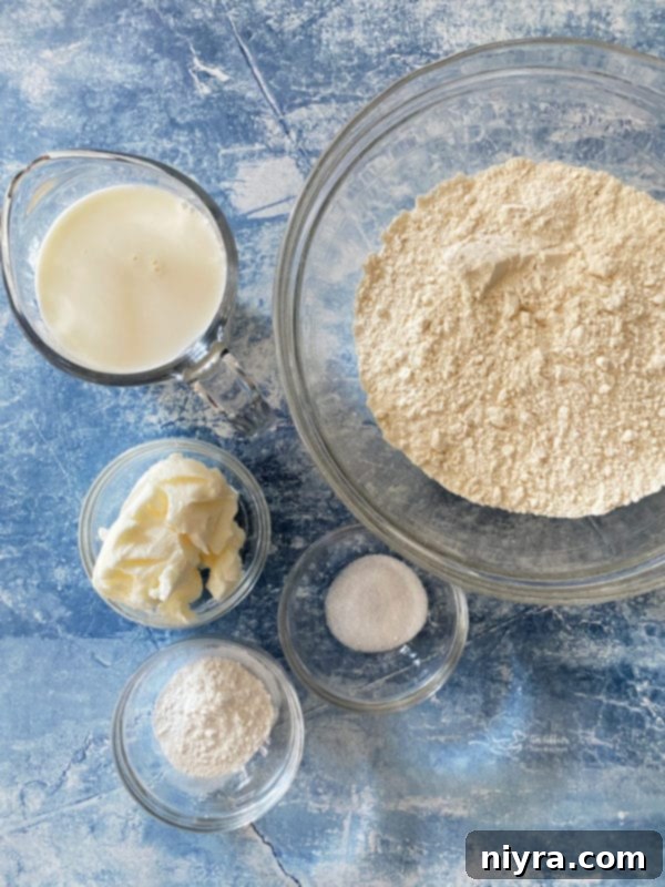 Native American Fry Bread Tacos 4 Close up of a round of plain Indian Fry Bread