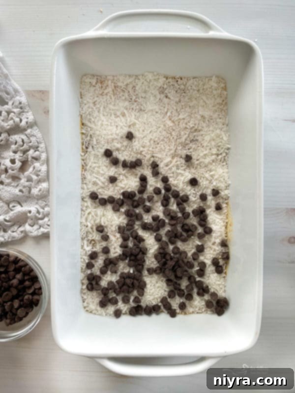 coconut and chocolate chpis