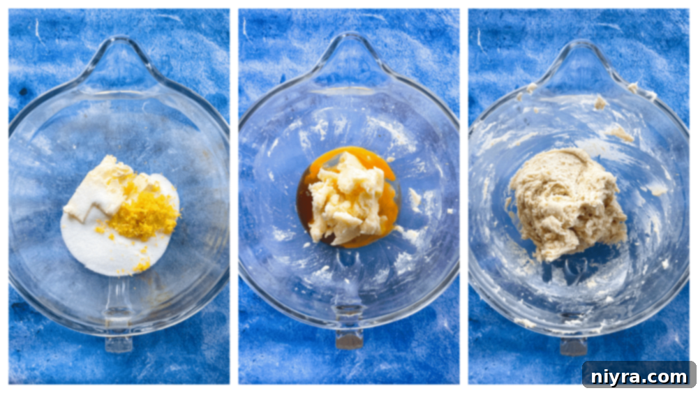 Mixing dry ingredients in a bowl for lemon cookies