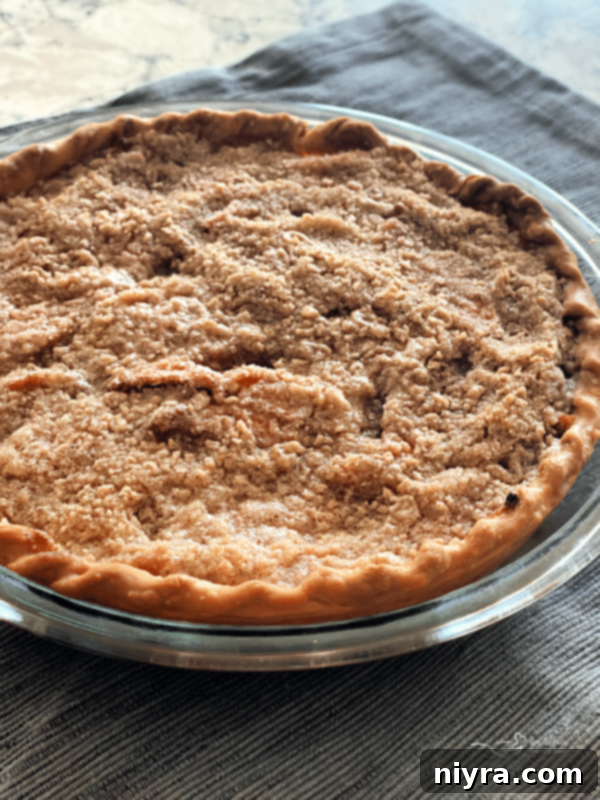 Slice of Spiced Peach Pie with Crumb Topping