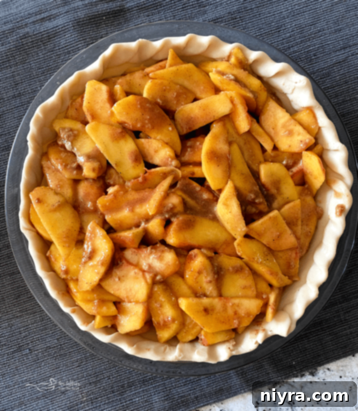 Pie crust filled with peach filling