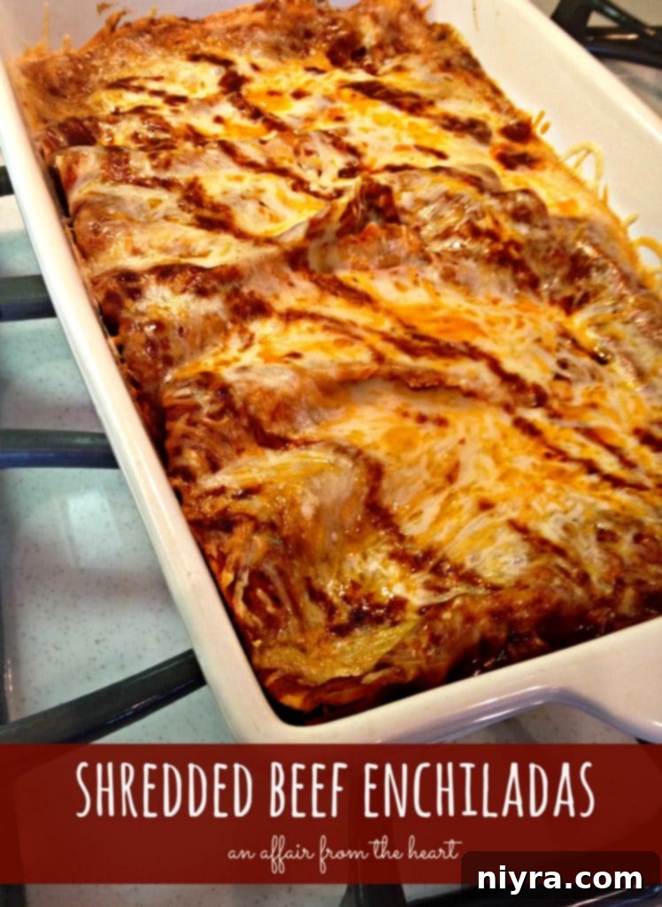 Shredded Beef Enchiladas in a baking dish, fresh from the oven, with melted cheese and red sauce