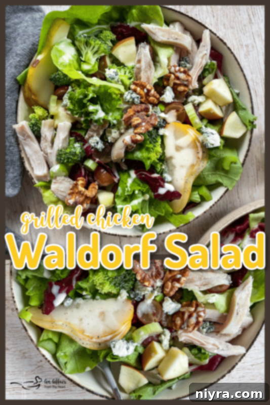 Grilled Chicken Waldorf A Modern Classic 2 Chicken Waldorf Salad images with descriptive text