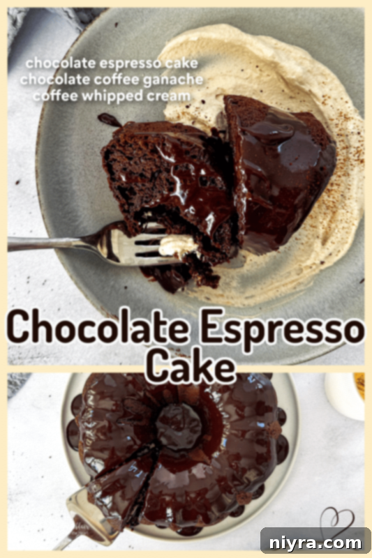 A stunning side view of the Chocolate Espresso Bundt Cake, showcasing the interplay of rich ganache and creamy whipped topping.