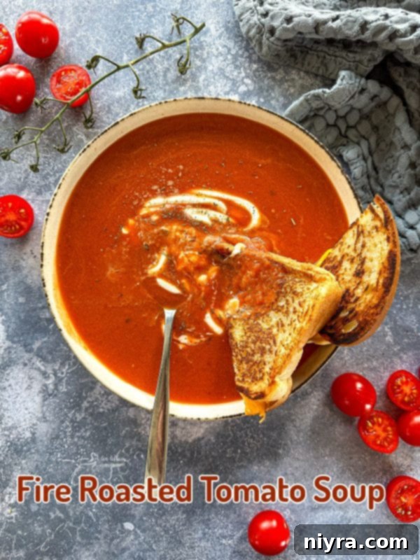 An appetizing close-up of fire roasted tomato soup in a bowl, ready to be eaten.