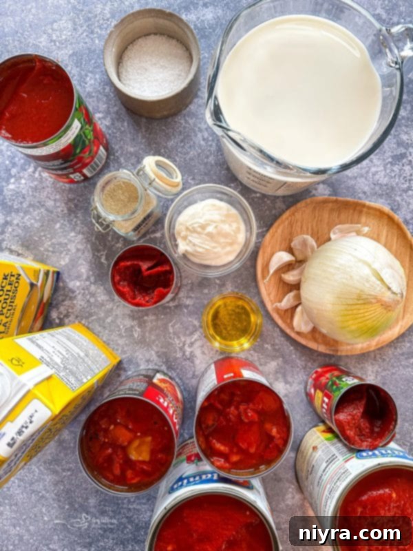 A beautifully garnished bowl of fire roasted tomato soup.