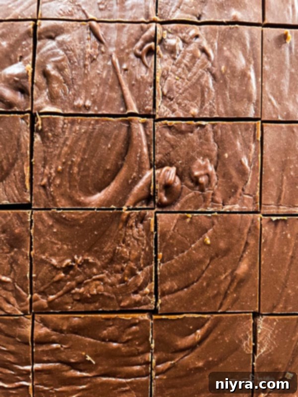 Top-down view of perfectly cut squares of homemade orange fudge, showcasing their uniform shape and creamy texture, ready for serving.