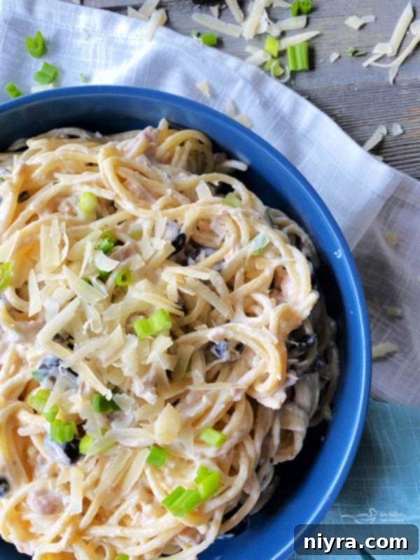 one bowl filled with tuna spaghetti 