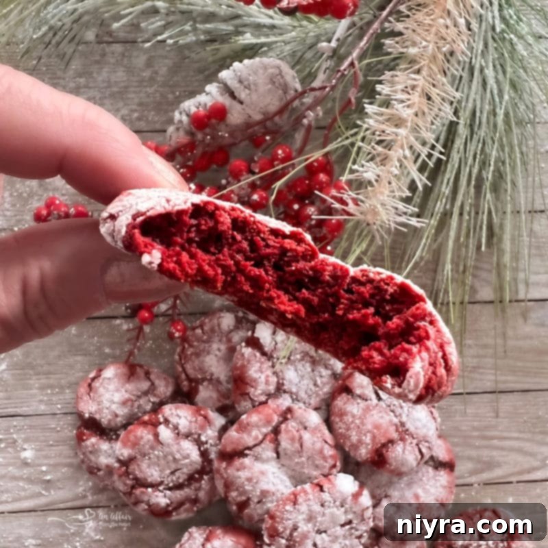 A close-up view of freshly baked red velvet cake mix cookies, showcasing their soft, fudgy texture and delicate powdered sugar coating.