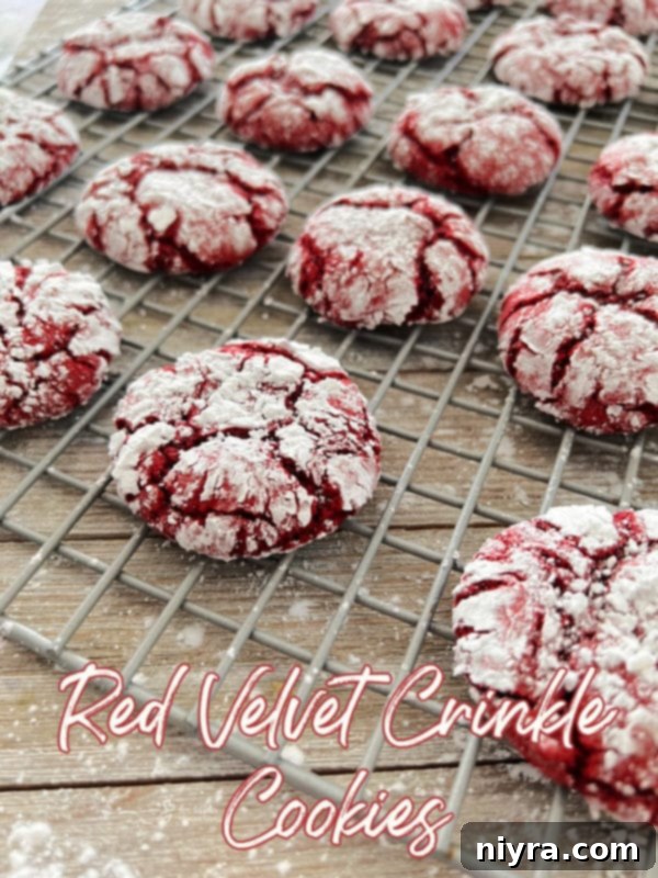A beautifully composed shot of red velvet crinkle cookies on a wire rack, with their distinct powdered sugar coating and festive appearance.