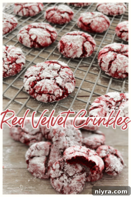 A vibrant red velvet crinkle cookie, perfectly coated in powdered sugar, cooling on a wire rack, ready to be enjoyed.