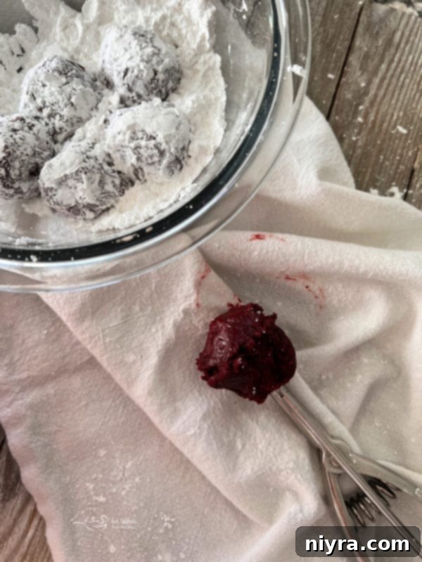 Hands rolling a ball of red velvet cookie dough generously in a bowl filled with white powdered sugar, preparing it for baking.