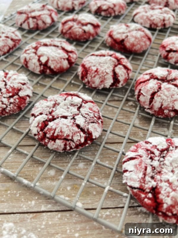 Freshly baked red velvet crinkle cookies, with their beautiful cracked powdered sugar tops, cooling on a wire rack.