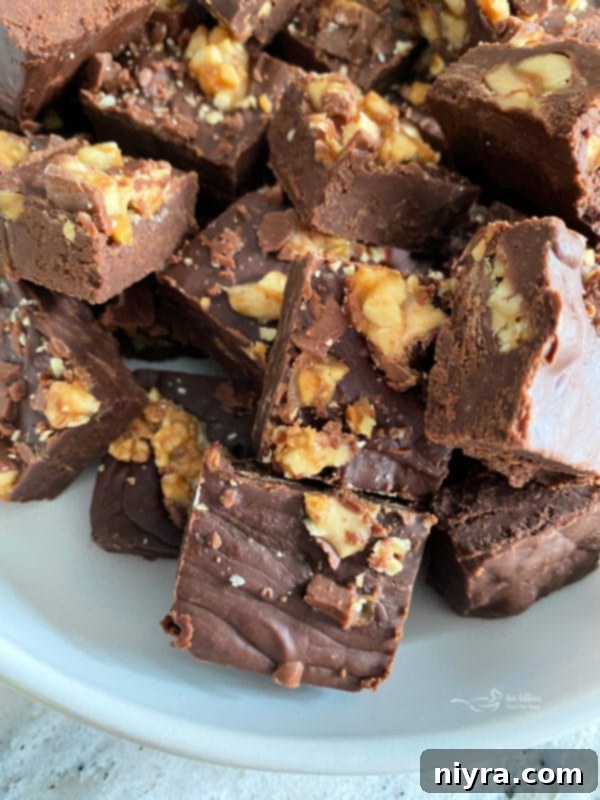 Bowl of ready-to-eat candy bar Snickers fudge