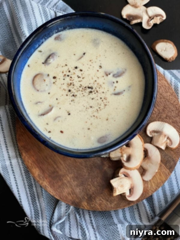 A beautifully presented bowl of creamy mushroom soup, ready to be served.