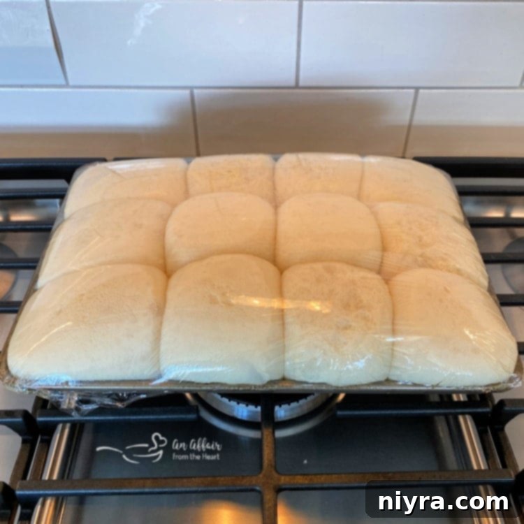 Package of frozen dinner rolls on the stove