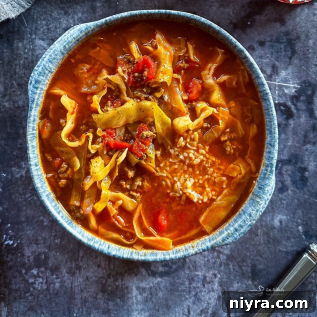 Close up of a bowl of hearty cabbage roll soup
