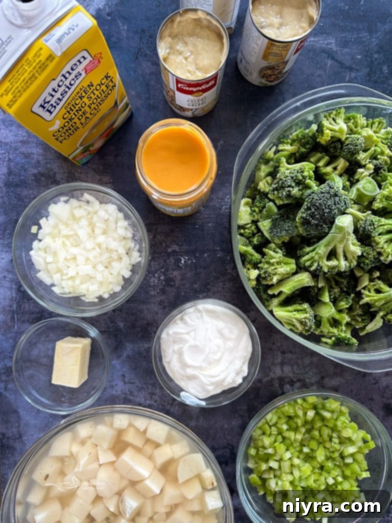 Hearty broccoli and cheese soup with fresh garnishes