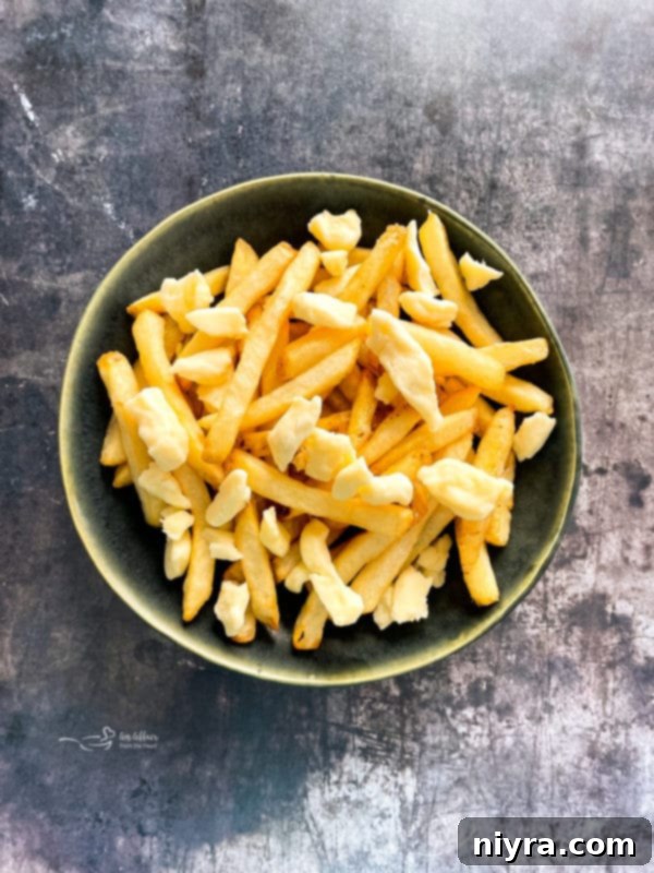 Overhead View of Plain Fries