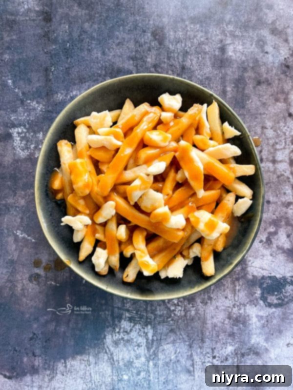 Overhead View of Bowl of Poutine