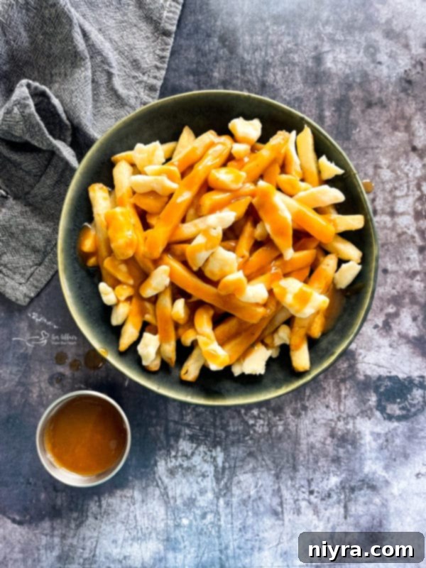 Overhead View of Poutine with Gravy on Side