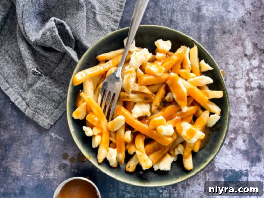Overhead View of Bowl of Poutine
