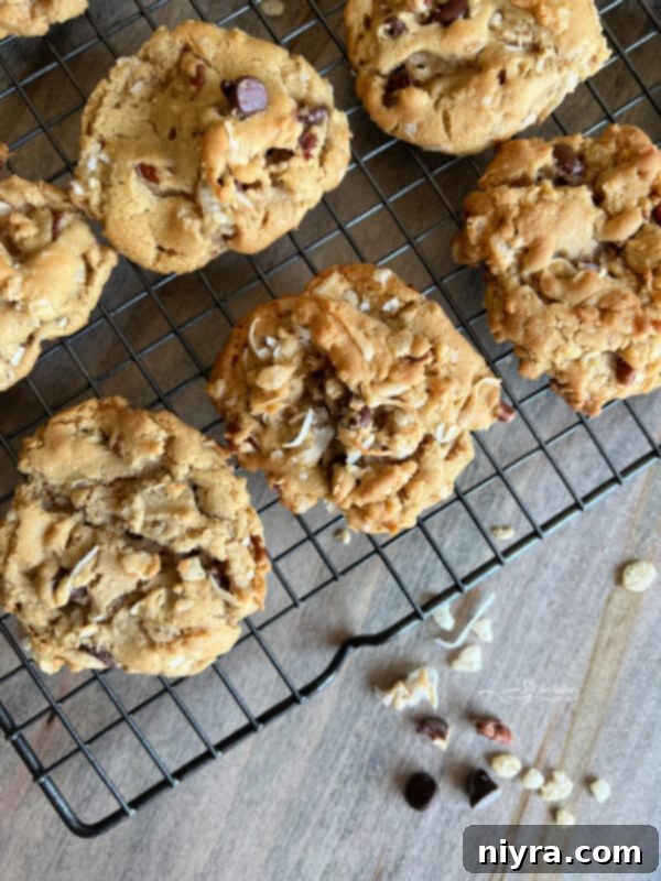 Freshly baked Cowboy Cookies cooling on a baking tray.