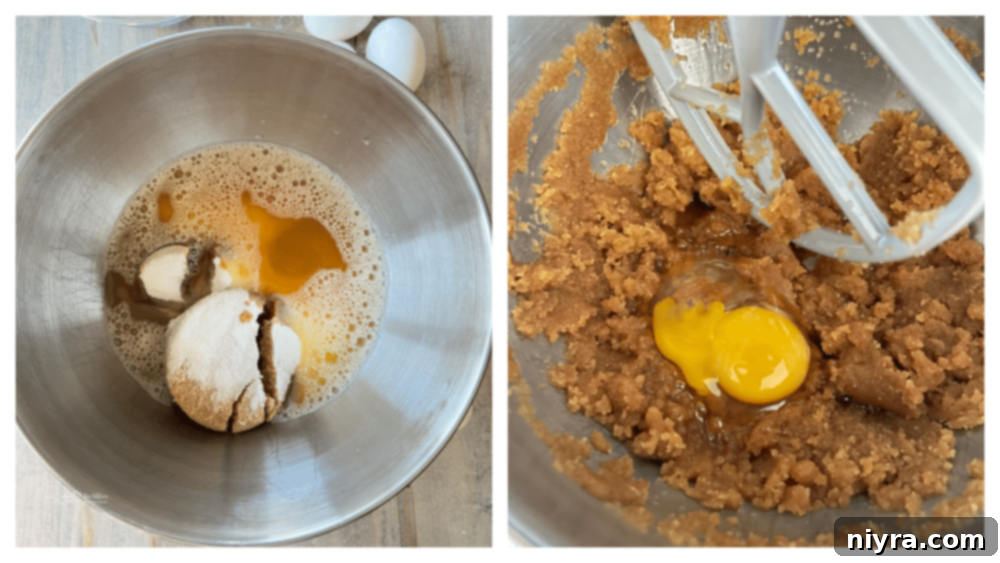 Preparing the cookie dough in a mixing bowl, showing the combined wet ingredients.