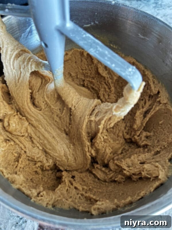 The cookie batter in a mixer after dry ingredients have been added, showing a smooth consistency.