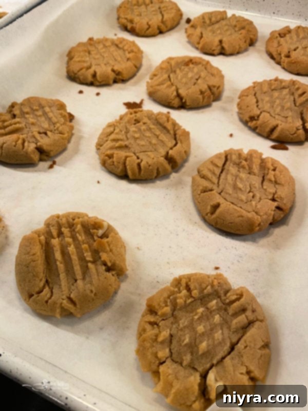 Freshly baked peanut butter cookies cooling on a wire rack over a baking sheet, with some still on the sheet.
