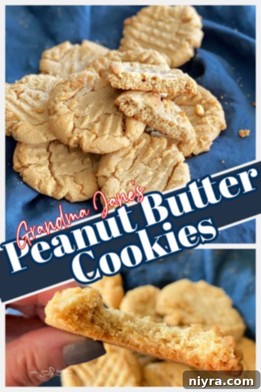 Graphic promoting Grandma Jane's Peanut Butter Cookies with a warm, inviting design.