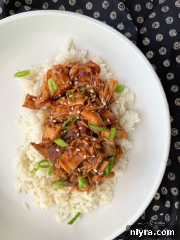 Slow Cooker Chicken Teriyaki dish