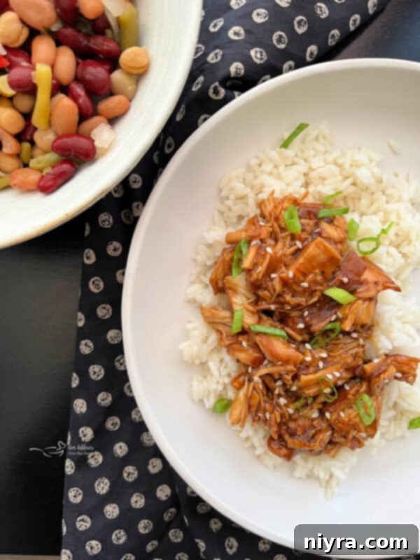 Close-up of Slow Cooker Teriyaki Chicken