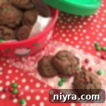Chocolate Pudding Cookies on festive cookie bag and tins