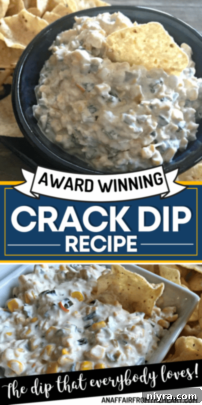Champion's Irresistible Dip 7 Pinterest graphic: Award-Winning Crack Dip Recipe.